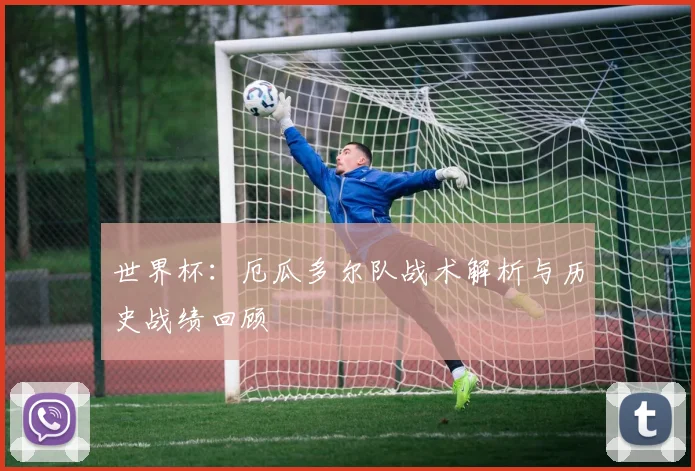 世界杯：厄瓜多尔队战术解析与历史战绩回顾