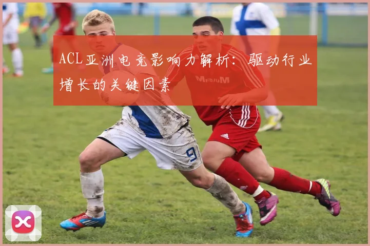 ACL亚洲电竞影响力解析：驱动行业增长的关键因素